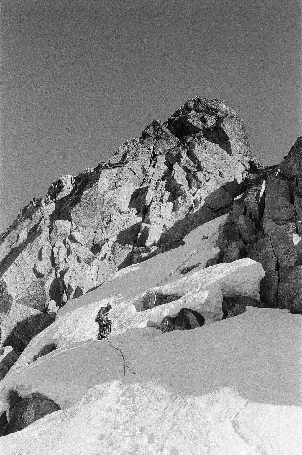 Spring 2026 photo 2