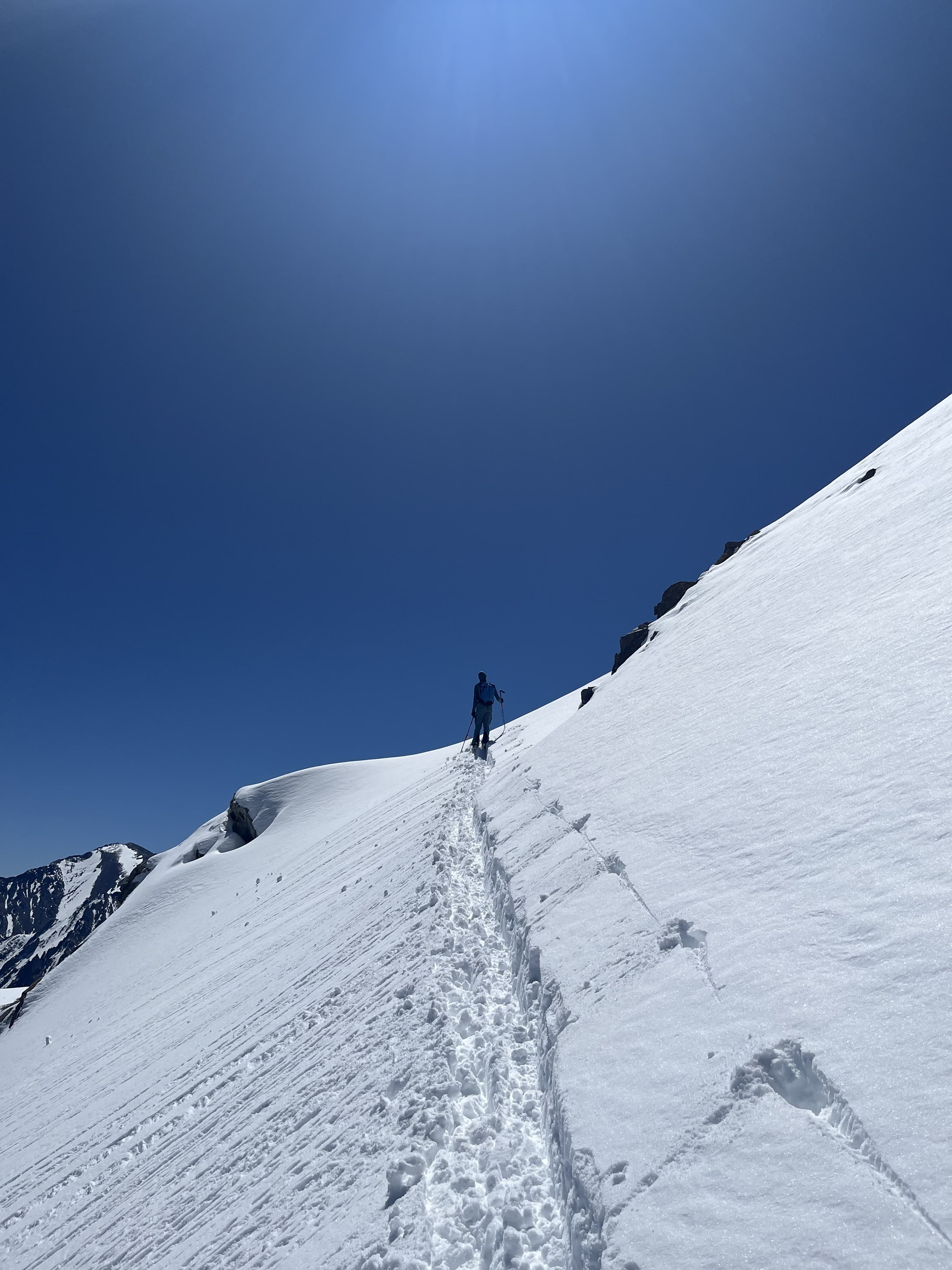 Eastern Sierra Backcountry May 2026 photo 5